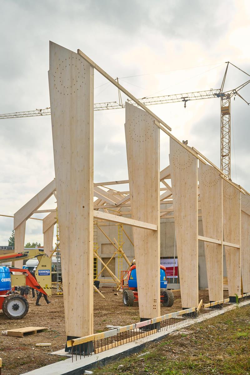 Salle de sport et bâtiments annexes en CLT massif - Commerce et industrie